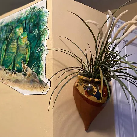 Apartamento Relax And Enjoy With A View Of El Teide And Sea